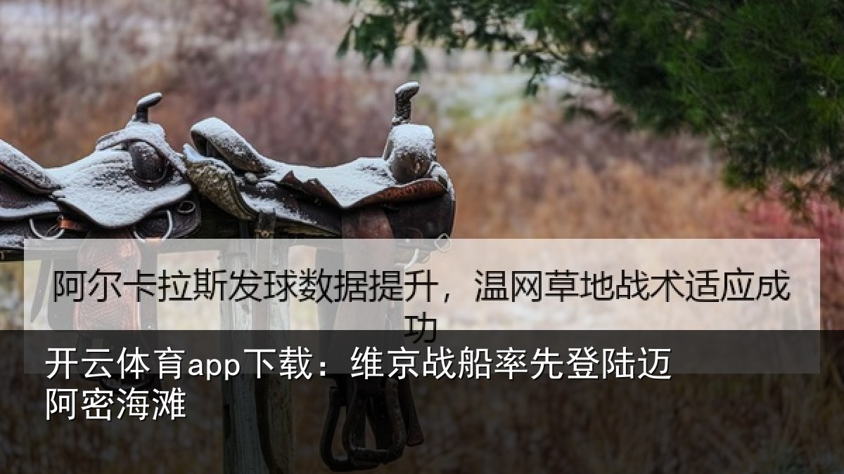 开云体育app下载：维京相关情况密海滩